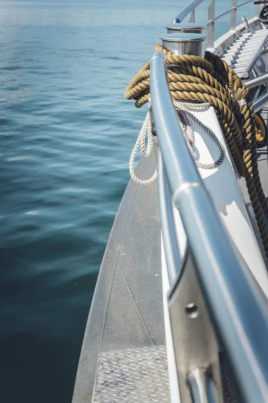 Seaward.Boats Premium Domain